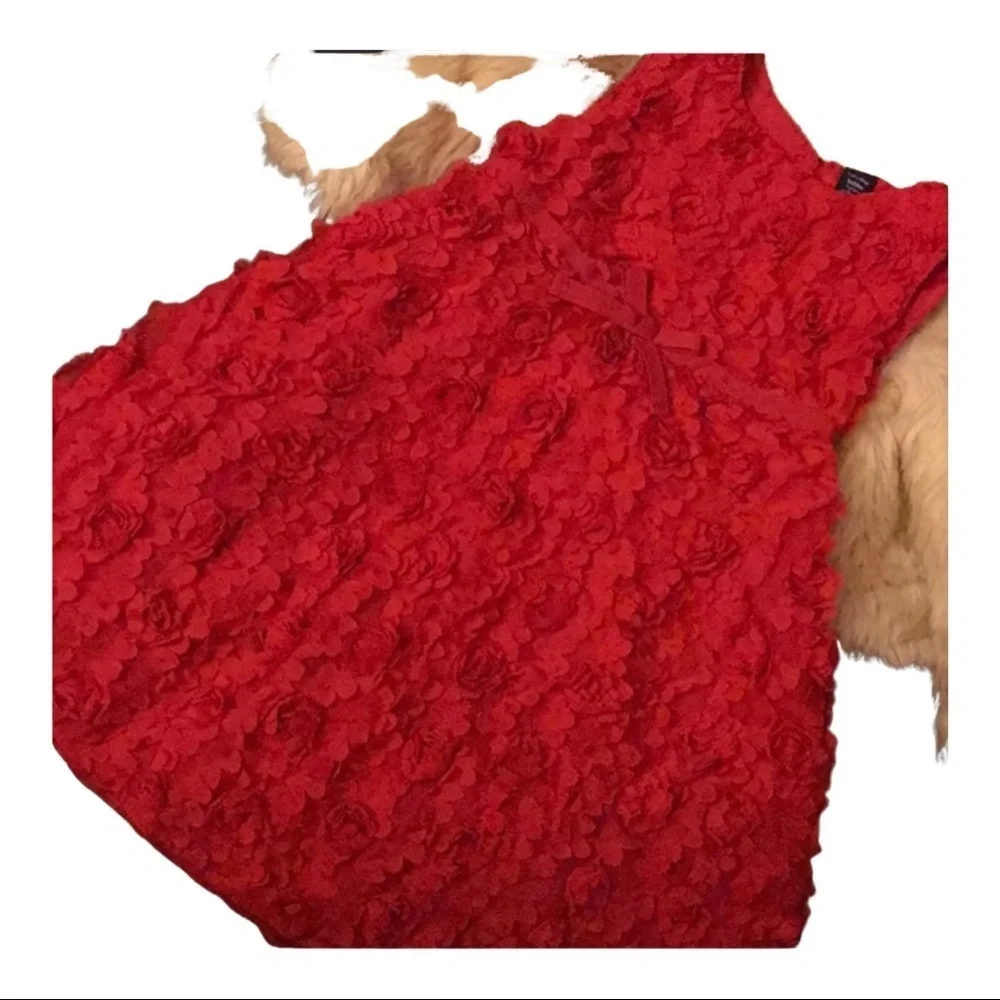 🌹Baby Gap red flower dress GUC size 5🌹